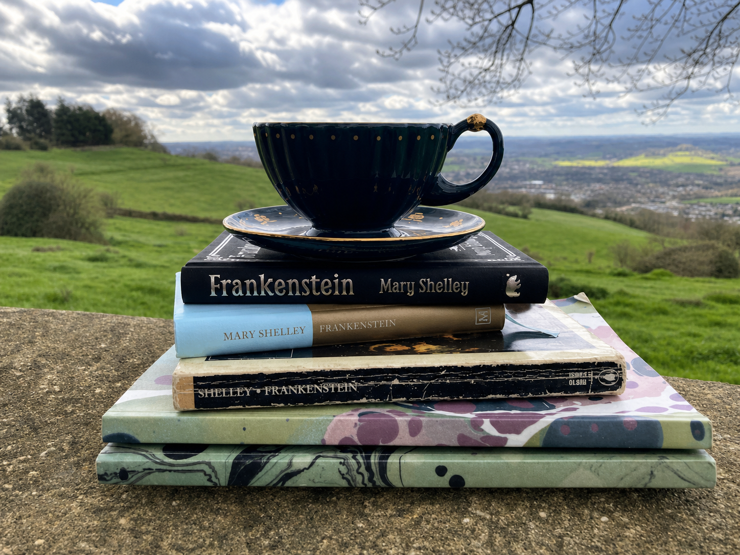 A teacup rests on a stack of Mary Shelley books overlooking the Bath countryside.